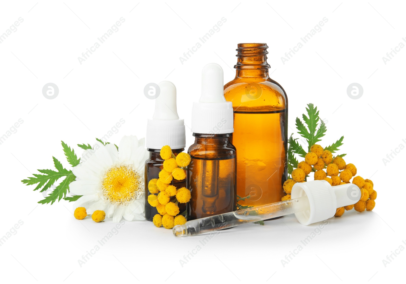 Photo of Composition with essential oils and flowers on white background