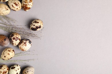 Speckled quail eggs and dry herbs on light grey background, flat lay. Space for text