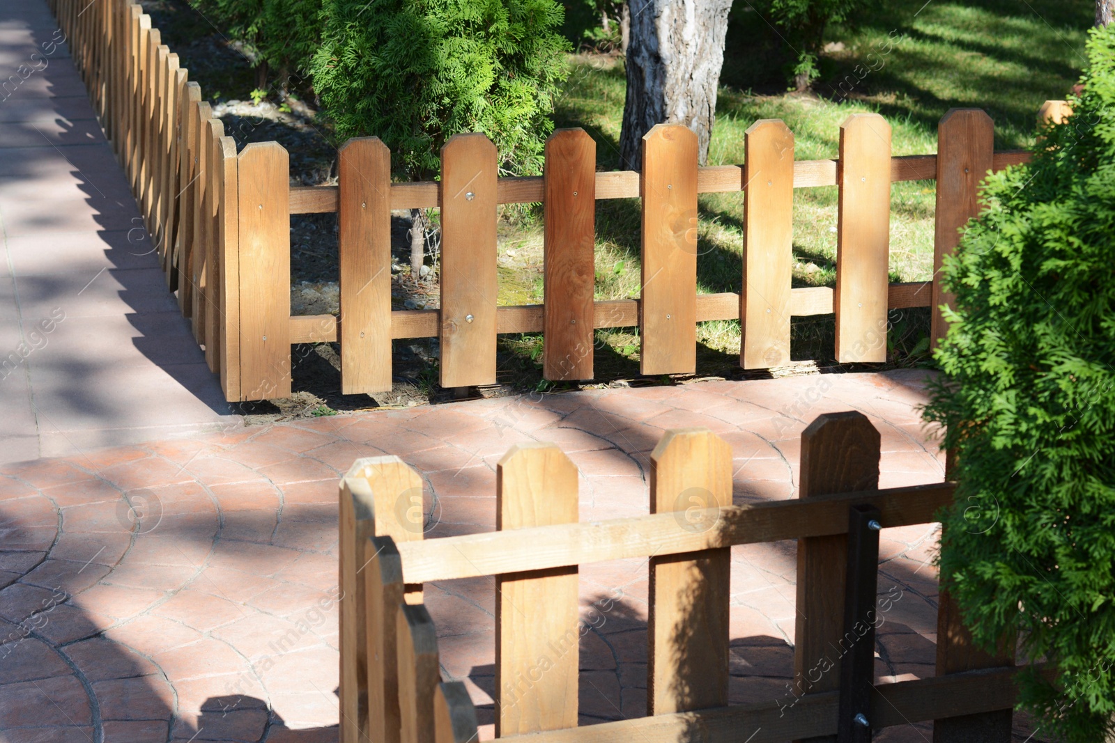 Photo of Small wooden fence near thujas on sunny day outdoors