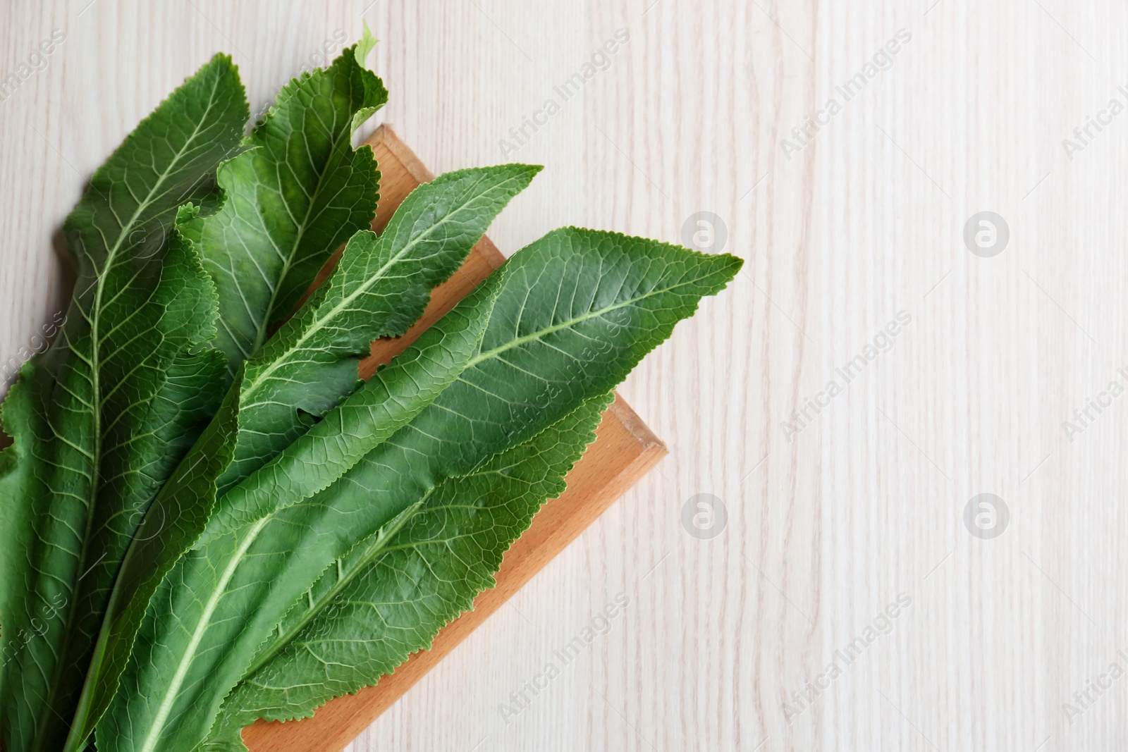 Photo of Top view of cutting board with horseradish leaves on white wooden table. Space for text