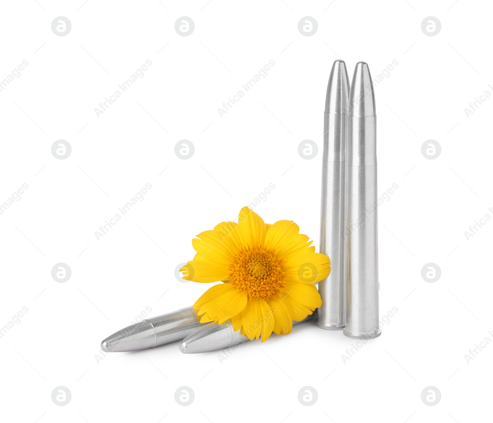 Photo of Bullets and beautiful flower isolated on white
