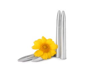 Bullets and beautiful flower isolated on white