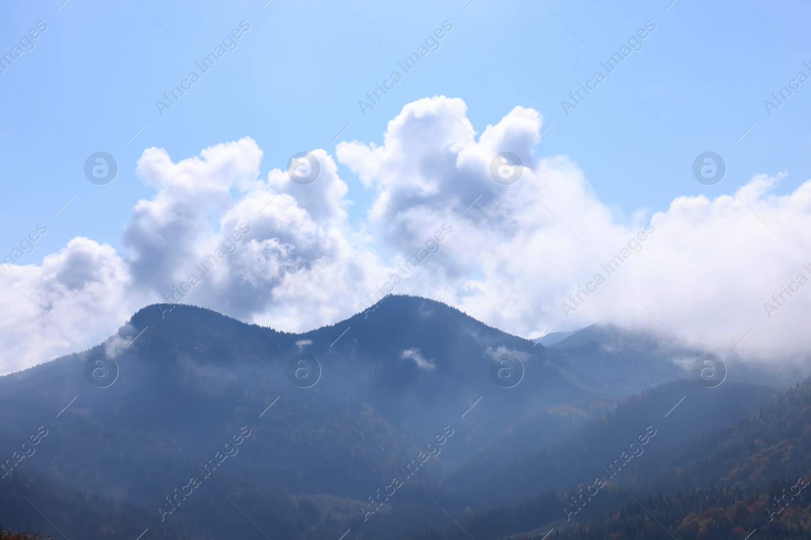 Photo of Picturesque view of beautiful mountains covered with fog