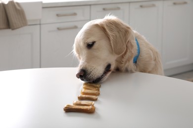 Photo of Cute Golden Retriever eating dog biscuits at table in kitchen