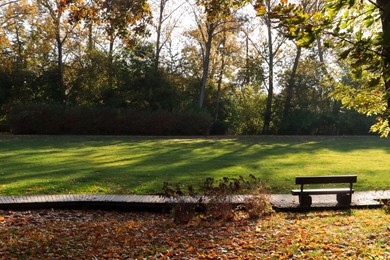 Picturesque view of park with beautiful trees, pathway and bench on sunny day. Autumn season