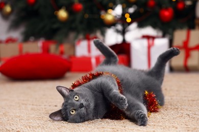 Photo of Cute cat with colorful tinsel in room decorated for Christmas