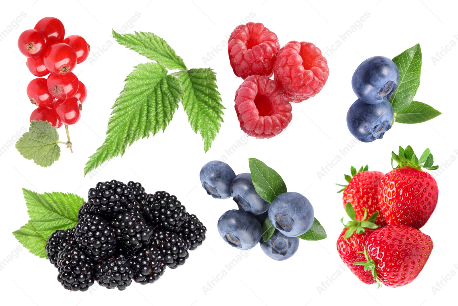 Image of Fresh blueberries and other berries isolated on white, set