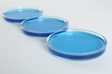 Photo of Petri dishes with light blue liquid on white background
