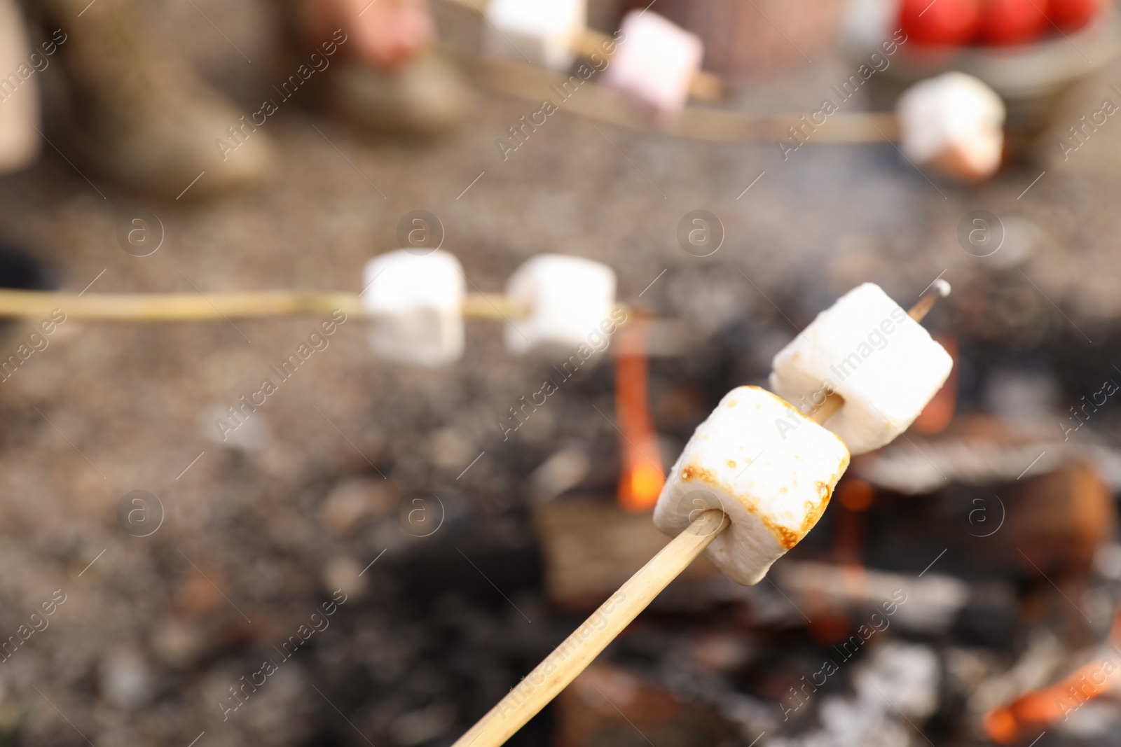 Photo of Frying marshmallow on bonfire outdoors. Camping season