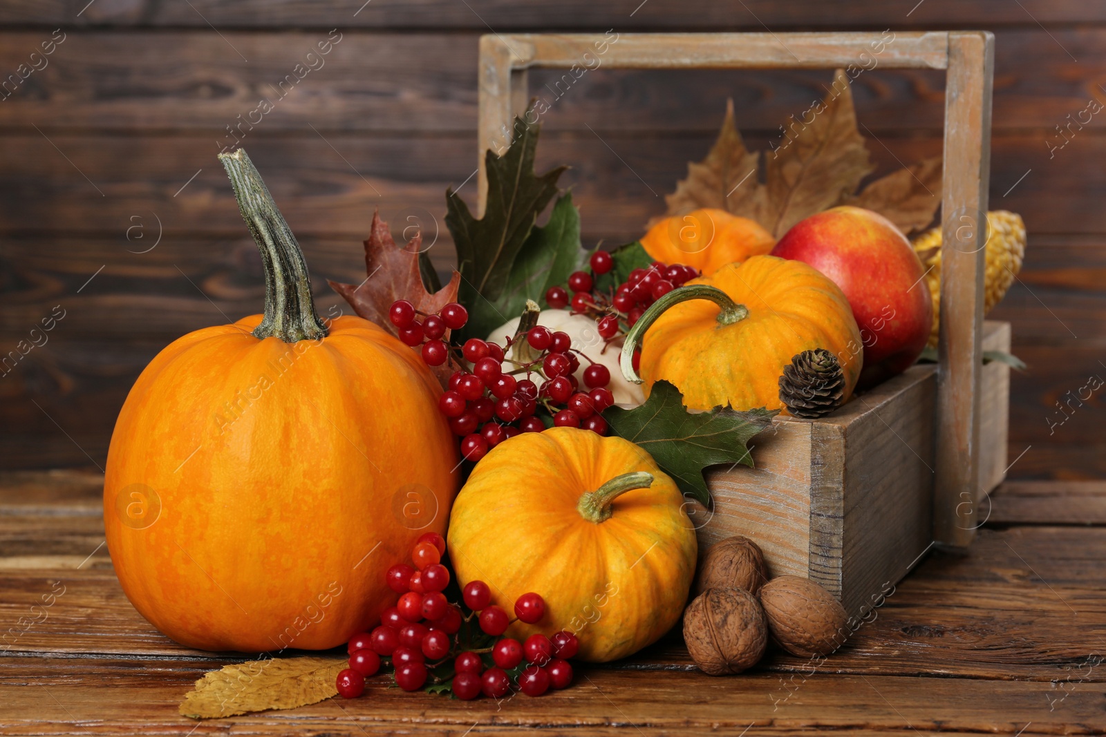 Photo of Happy Thanksgiving day. Composition with pumpkins, berries and walnuts on wooden table, closeup