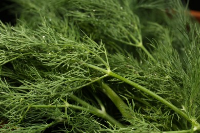 Photo of Fresh green dill with water drops as background, closeup