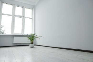 Empty office room with windows and potted houseplants