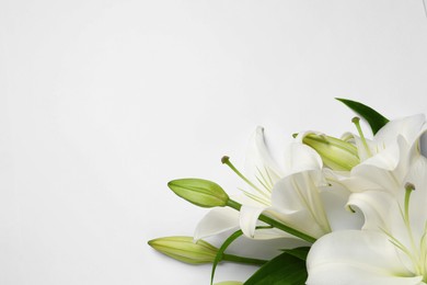Photo of Beautiful lily flowers on white background, flat lay. Space for text