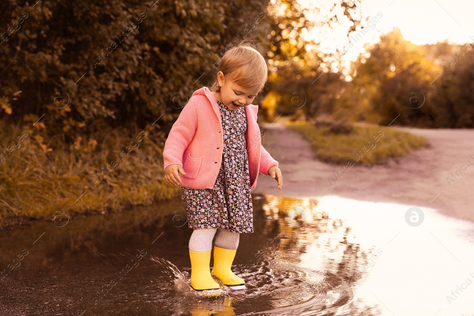 Photo of Little girl wearing rubber boots walking in puddle outdoors