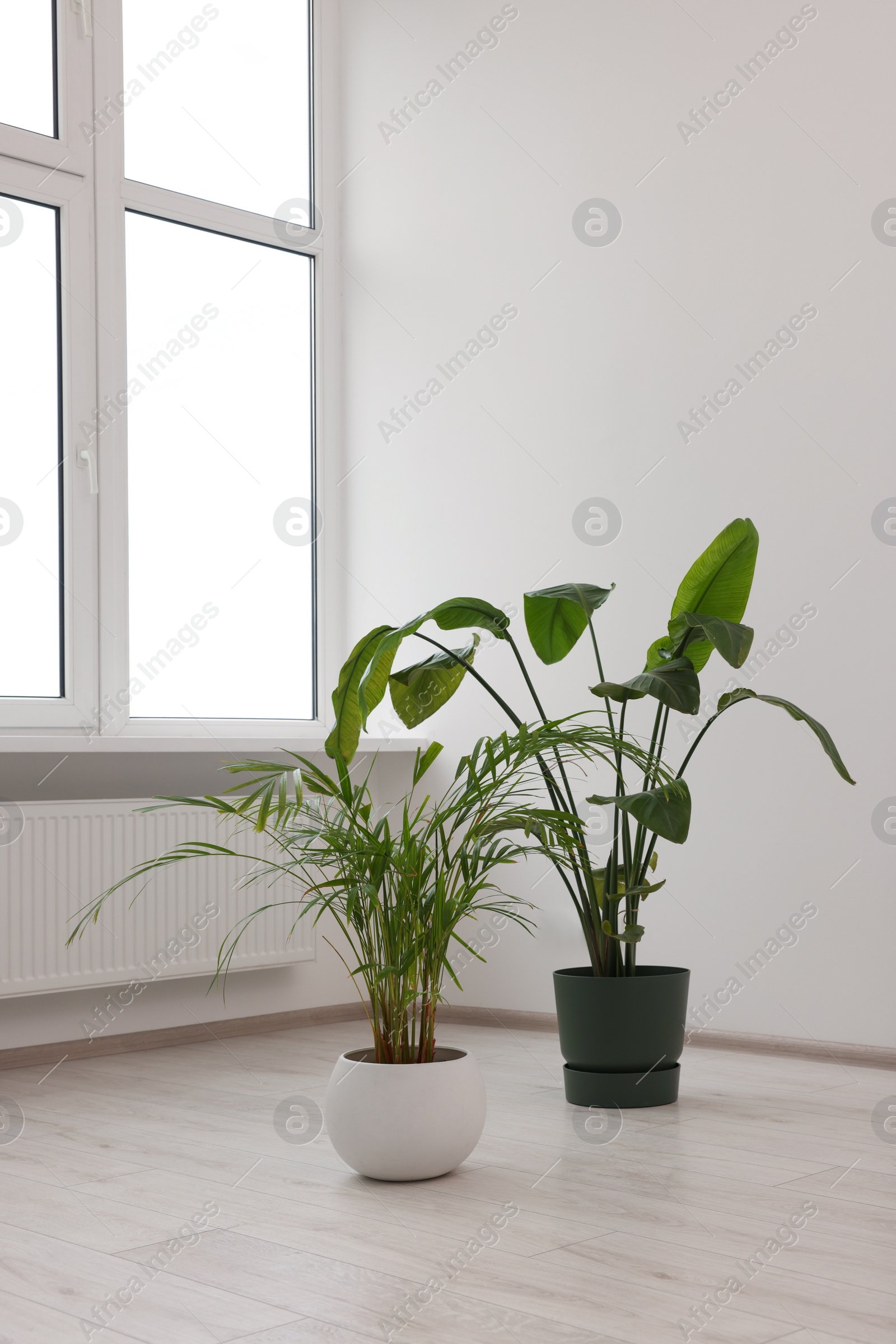 Photo of Empty renovated room with potted houseplants and windows