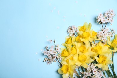 Beautiful yellow daffodils and cherry blossom on light blue background, flat lay. Space for text