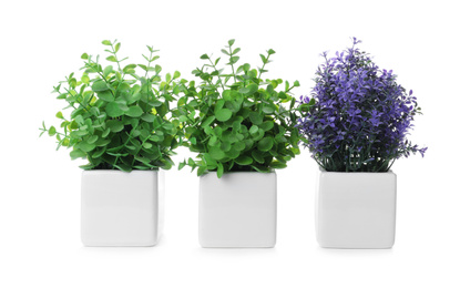 Photo of Beautiful artificial plants in flower pots isolated on white