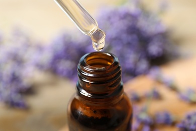 Photo of Dripping lavender essential oil into bottle, closeup