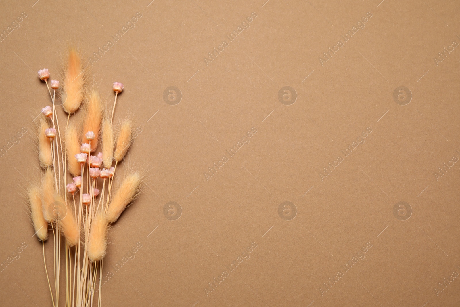 Photo of Bouquet of dried flowers on light brown background, flat lay. Space for text