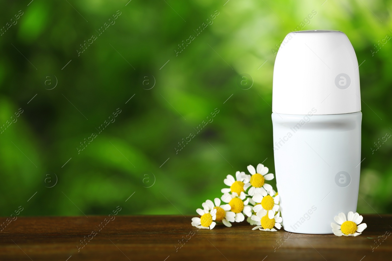 Photo of Natural roll-on deodorant with chamomile flowers on wooden table against blurred green background. Space for text