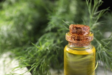 Photo of Bottle of essential oil and fresh dill on table closeup. Space for text