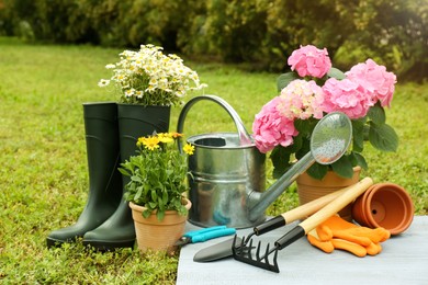 Beautiful blooming plants, gardening tools and accessories on green grass outdoors