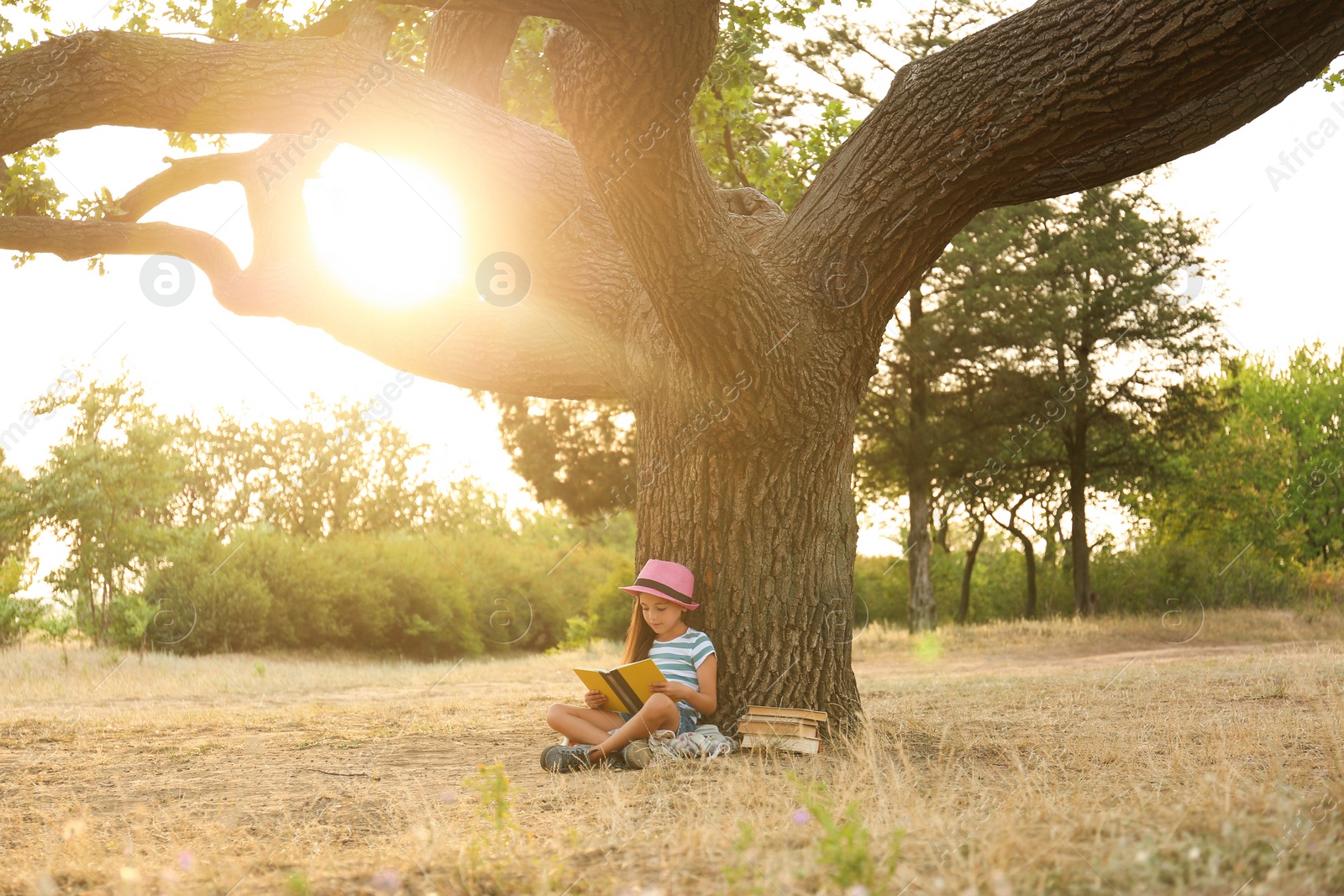 Photo of Cute little girl reading book near tree in park