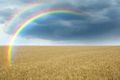 Amazing double rainbow over wheat field under stormy sky