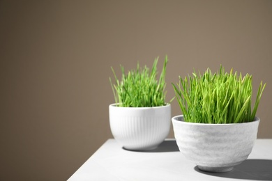 Photo of Bowls with fresh wheat grass on table against color background, space for text