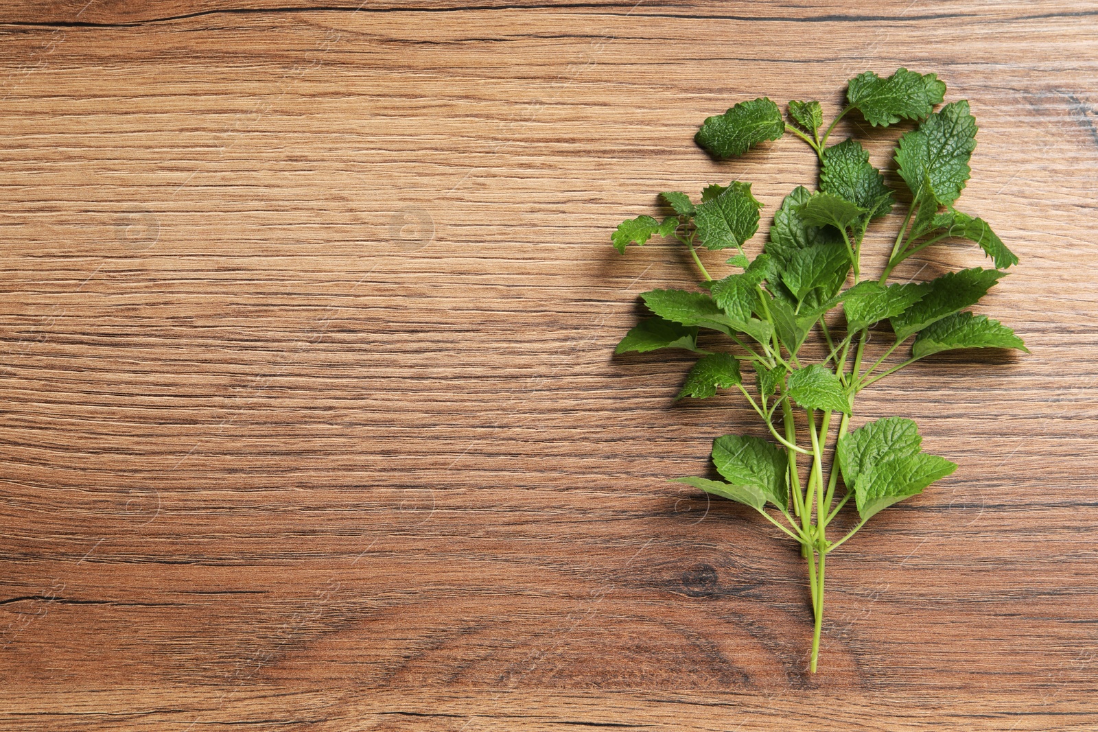 Photo of Fresh lemon balm on wooden table, top view. Space for text