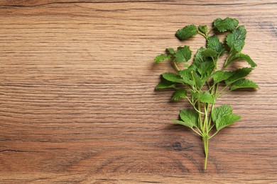 Fresh lemon balm on wooden table, top view. Space for text