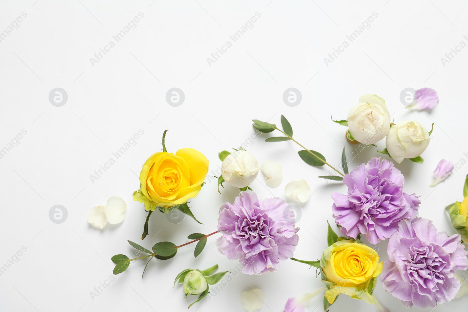 Photo of Flat lay composition with beautiful blooming flowers on white background