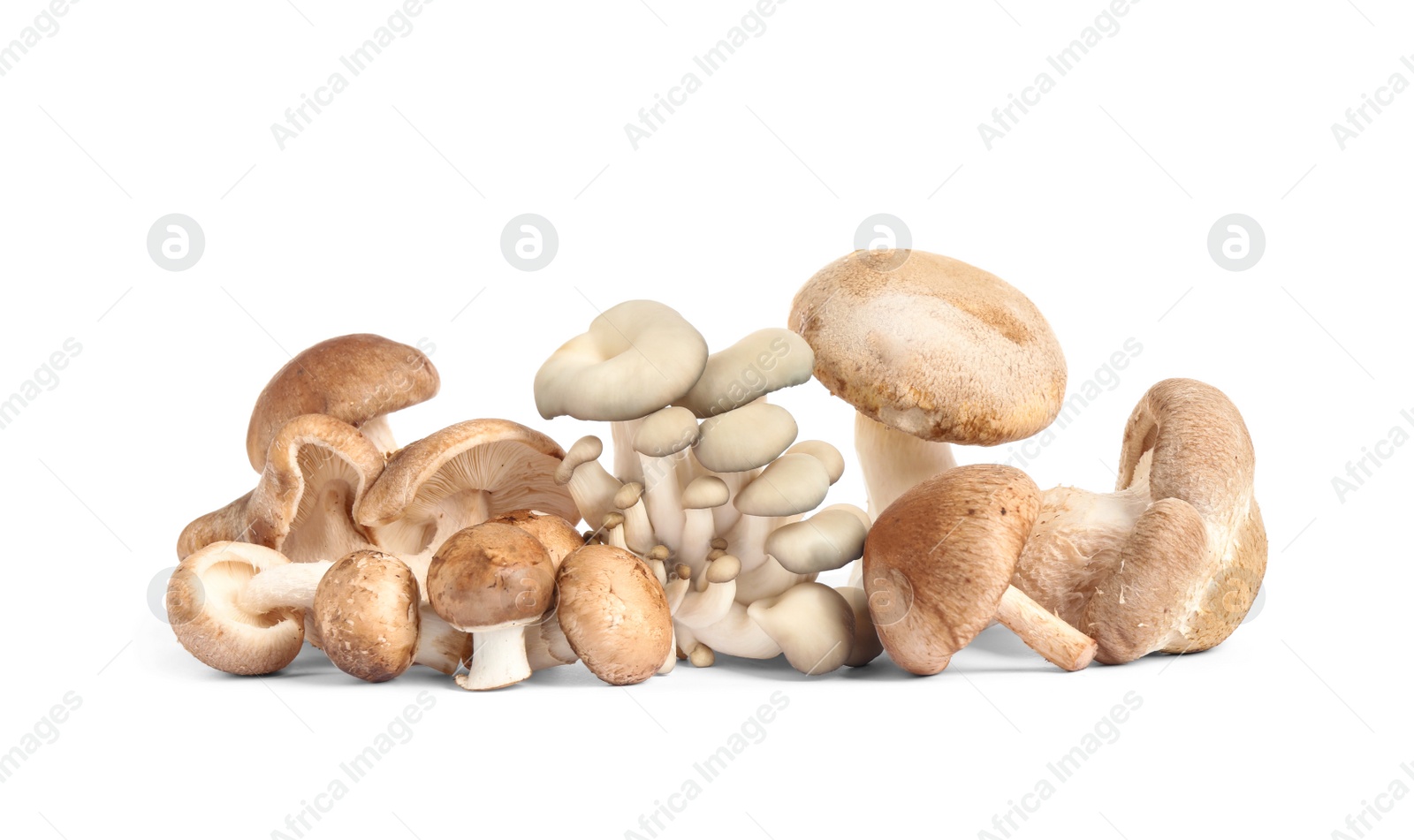 Photo of Fresh wild mushrooms on white background. Edible fungi