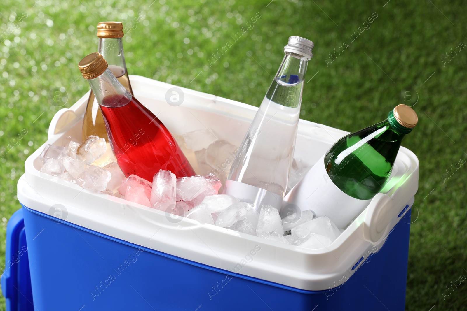 Photo of Blue plastic cool box with drinks and ice cubes on green grass