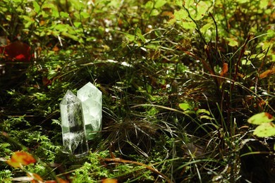 Photo of Sunlit crystals on ground in forest, space for text