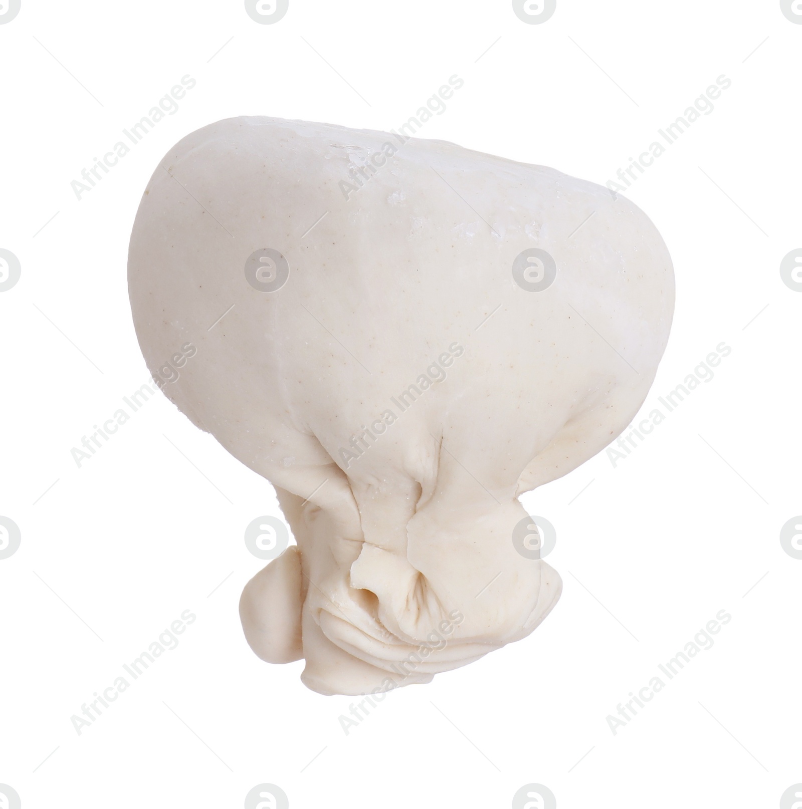 Photo of Uncooked khinkali (dumpling) isolated on white. Georgian cuisine