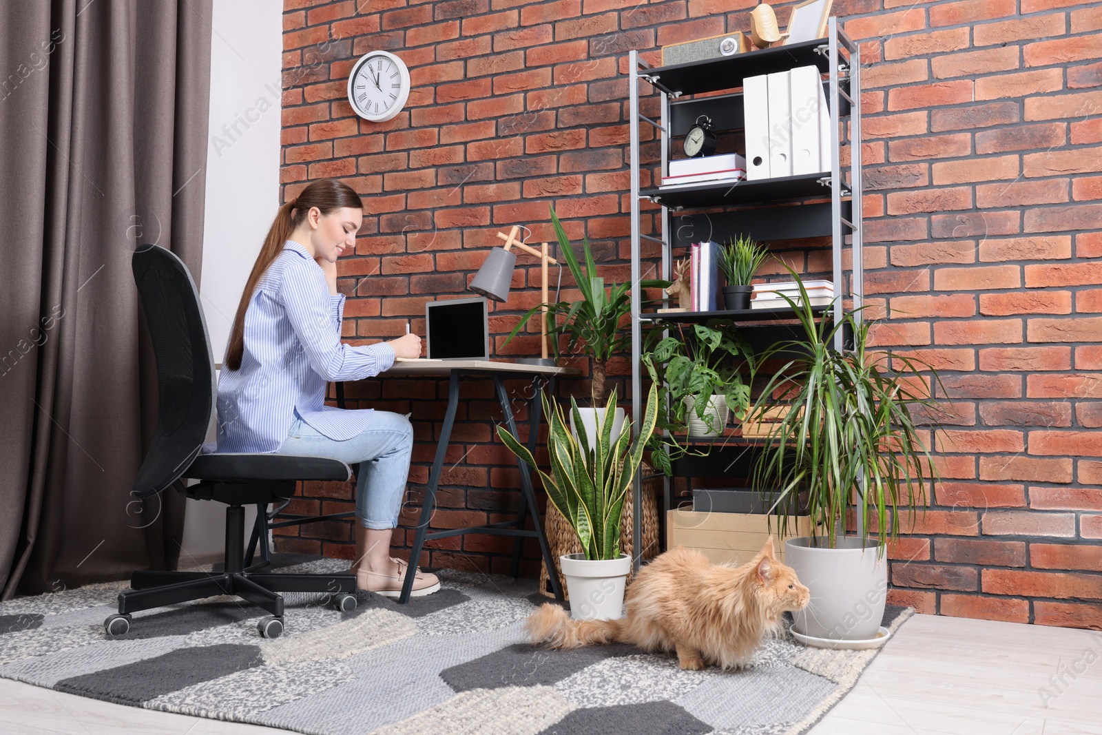 Photo of Woman working at desk and cat in room. Home office