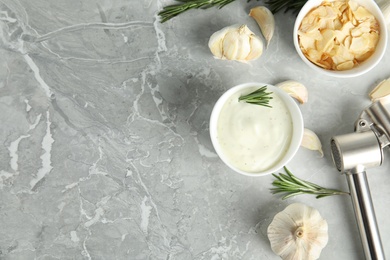 Photo of Flat lay composition with garlic sauce and flakes on grey background. Space for text