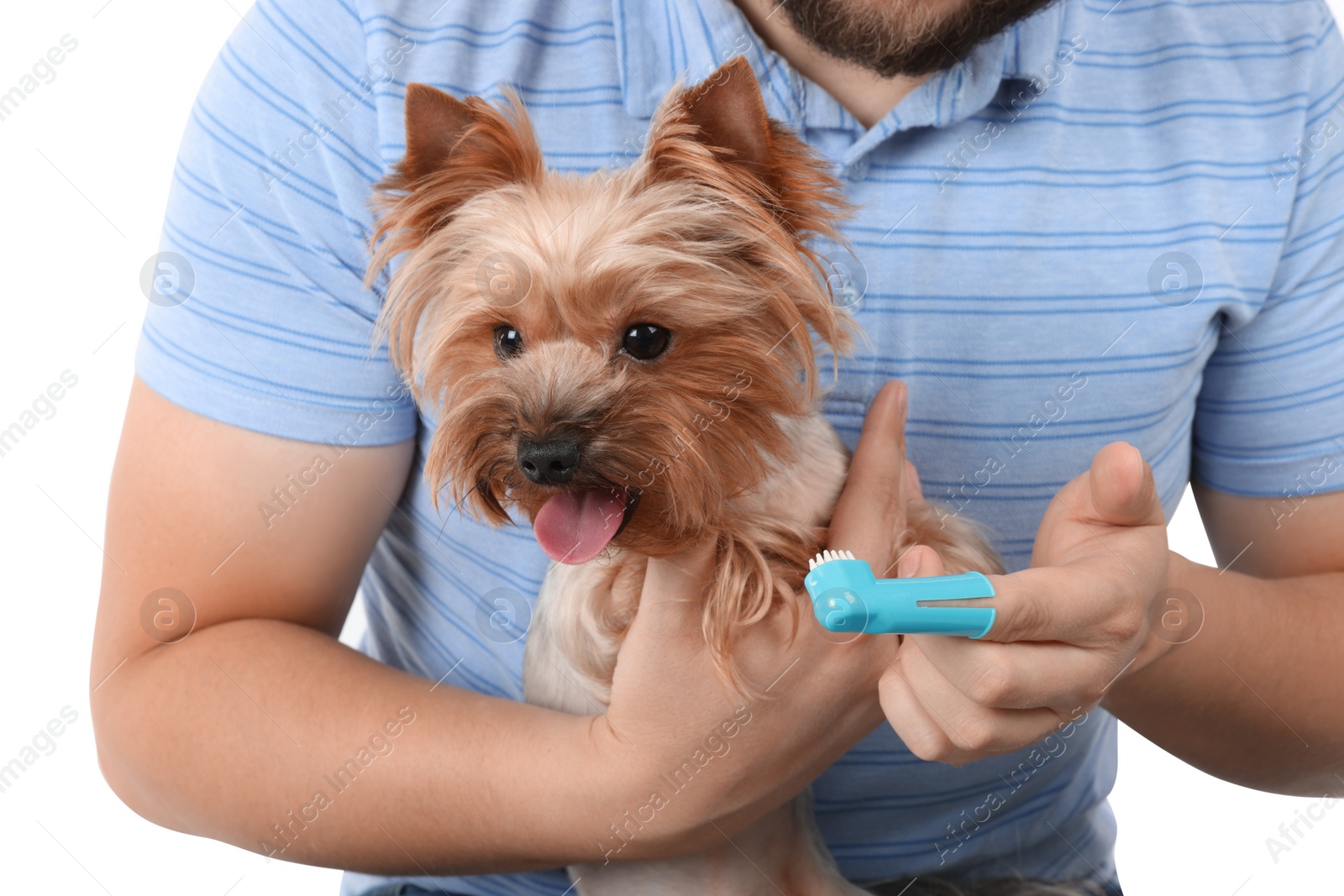 Photo of Man brushing dog's teeth on white background, closeup