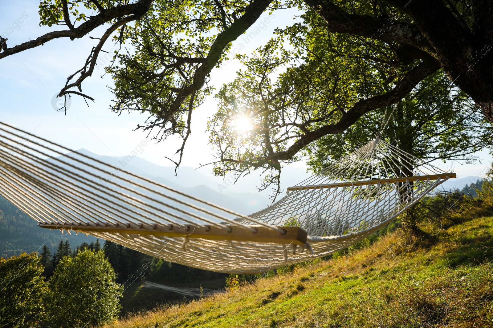 Photo of Comfortable net hammock in mountains on sunny day