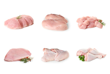 Set with raw chicken meat on white background