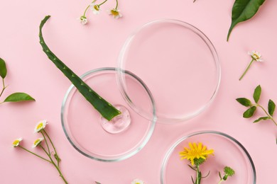Petri dishes with different plants and cosmetic product on pink background, flat lay