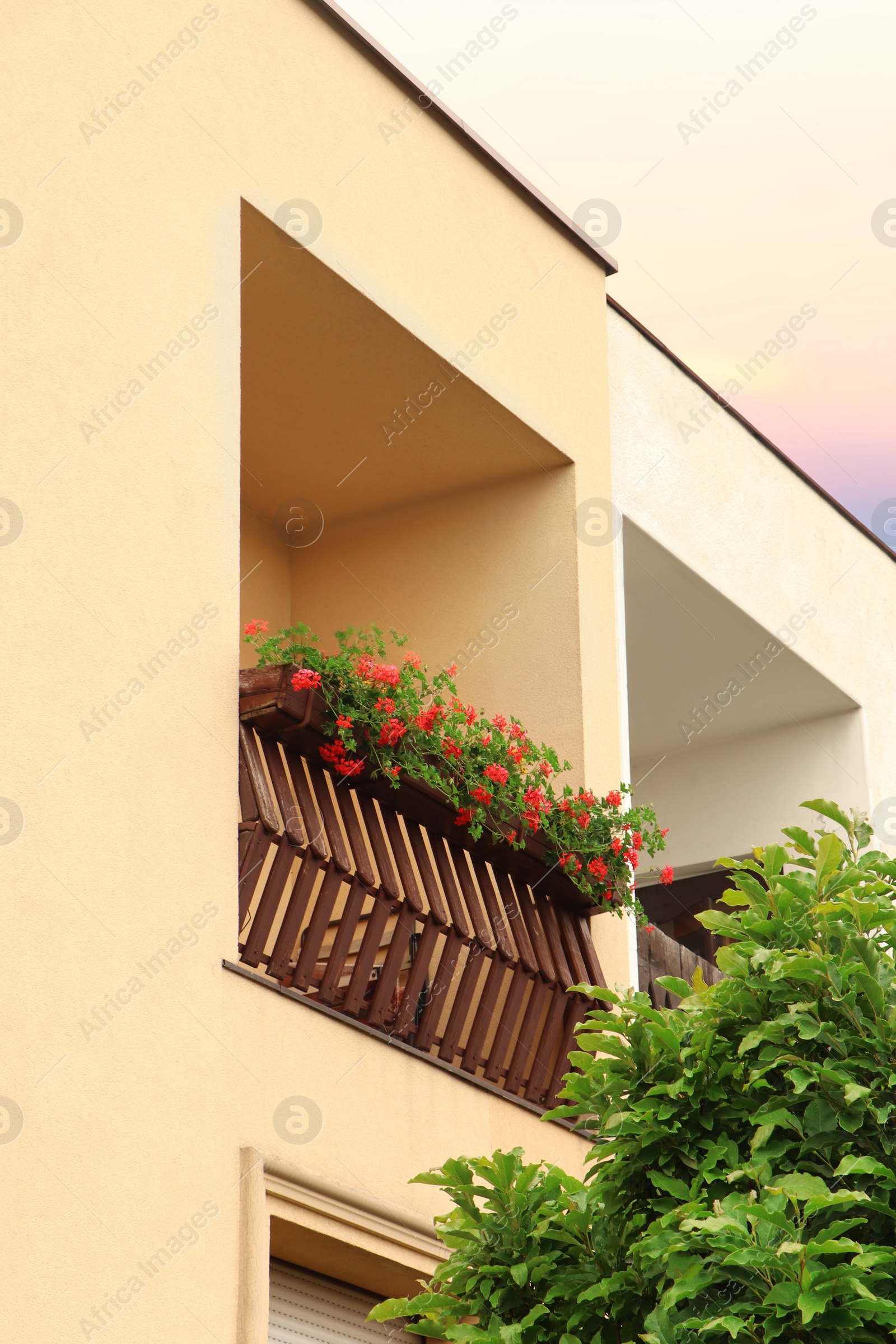 Photo of Wooden balcony decorated with beautiful red flowers