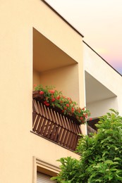 Photo of Wooden balcony decorated with beautiful red flowers
