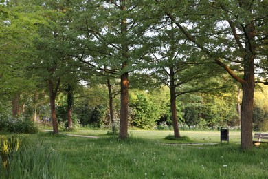 Photo of Picturesque view of park with green grass and plants outdoors