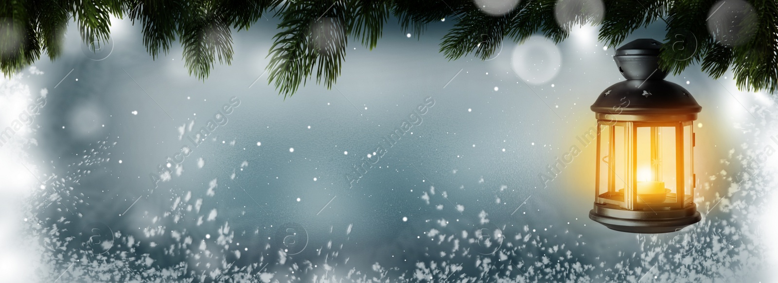 Image of Beautiful Christmas lantern hanging on fir tree branch, bokeh effect. Banner design with space for text