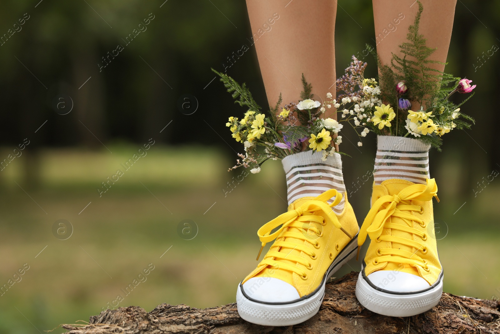 Photo of Woman standing on log with flowers in socks outdoors, closeup. Space for text