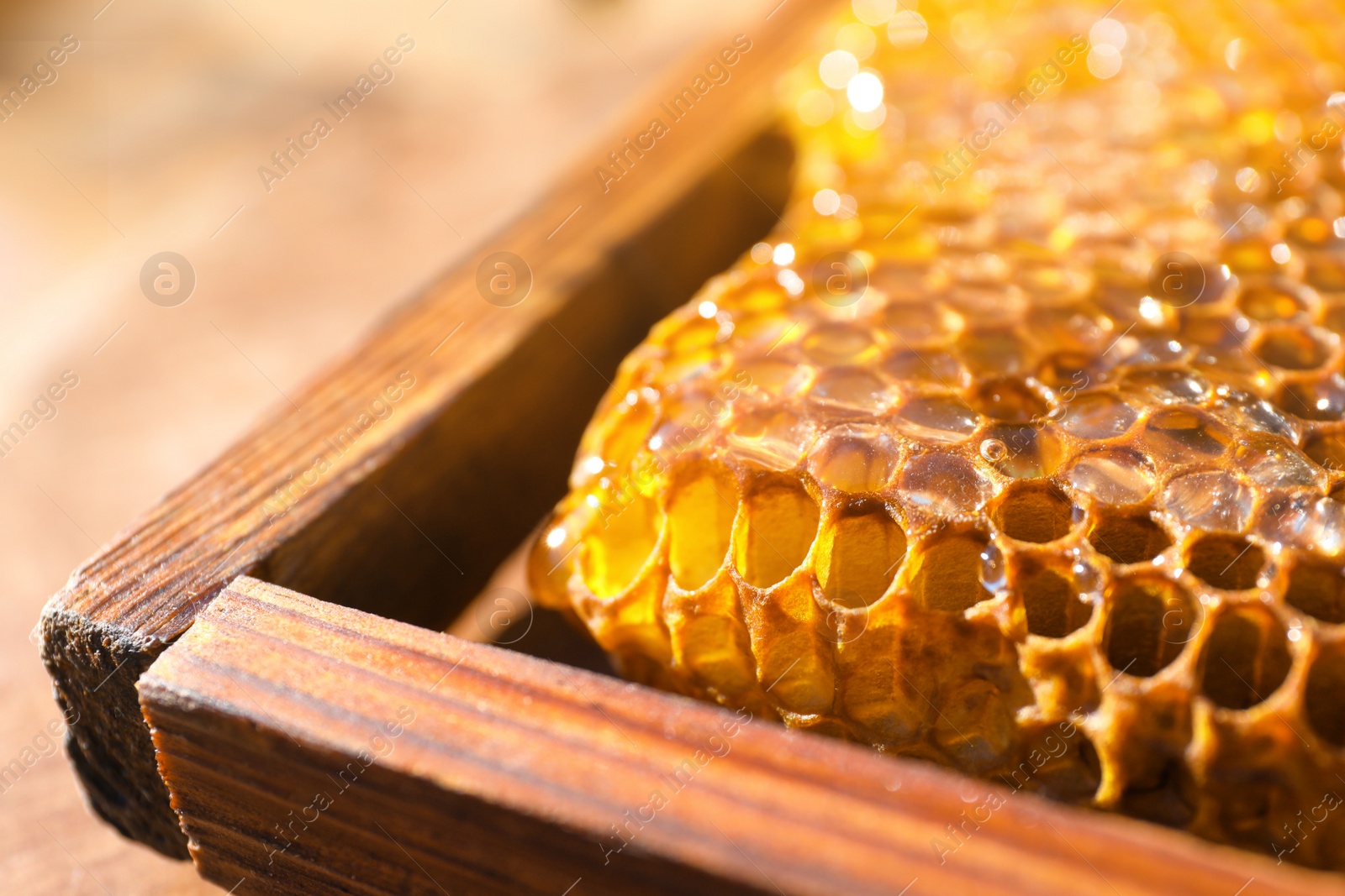 Photo of Uncapped honeycomb frame on blurred background, closeup