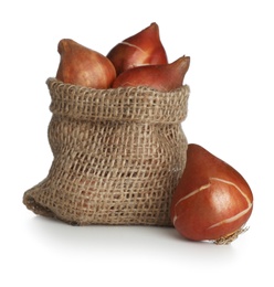Photo of Tulip bulbs in sack on white background