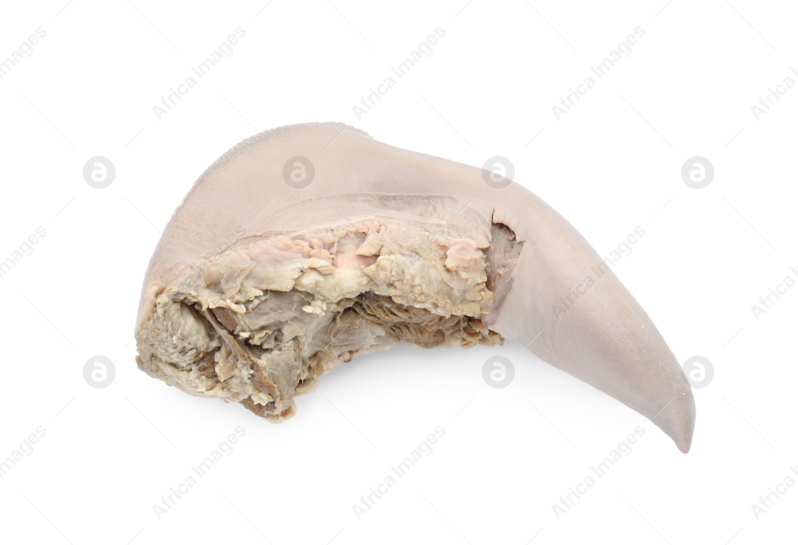 Photo of Cooked beef tongue isolated on white, top view